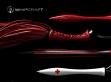 WHIPCRAFT