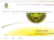 Primavera