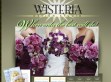 Wisteria Design Studio