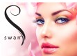Swan
